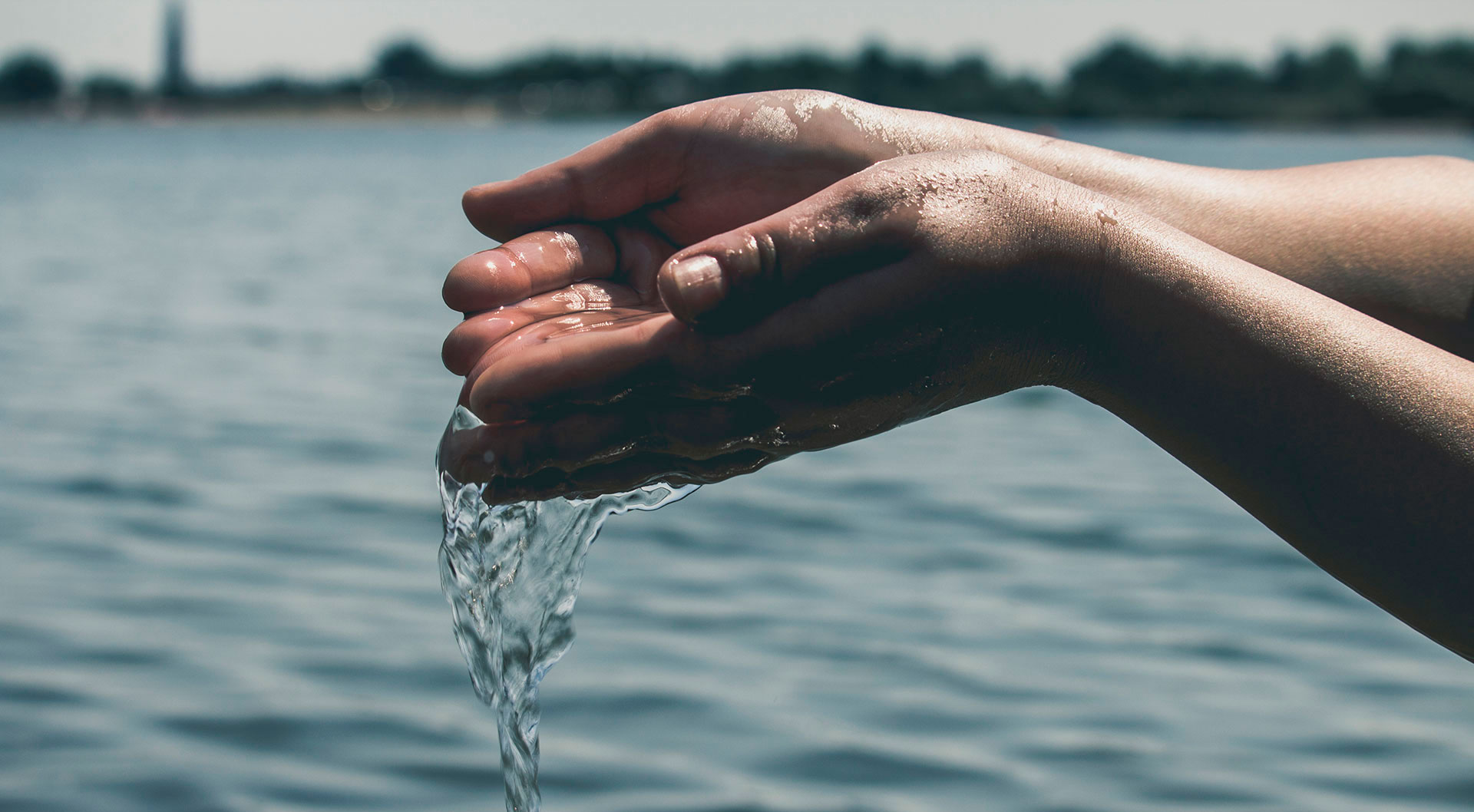 La industria avícola sostenible, optimización del agua y la energía para un futuro más verde.