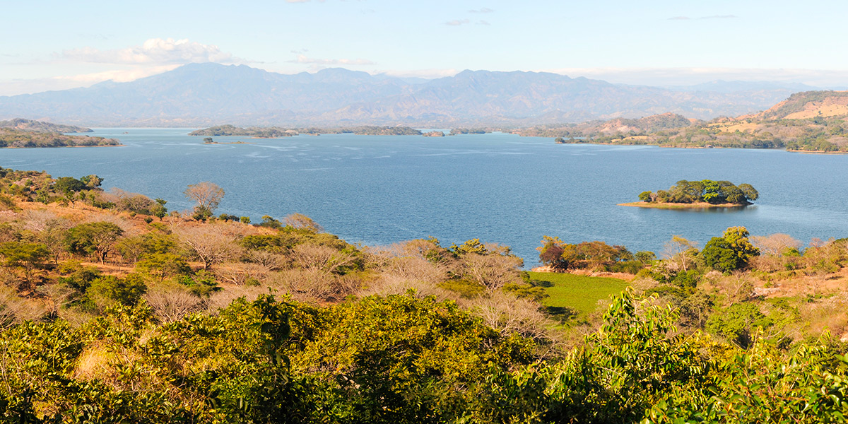 Avícola Salvadoreña impulsa la reforestación en la granja Suchitlán.